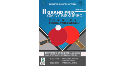 Turniej Tenisa Stołowego w Biskupcu